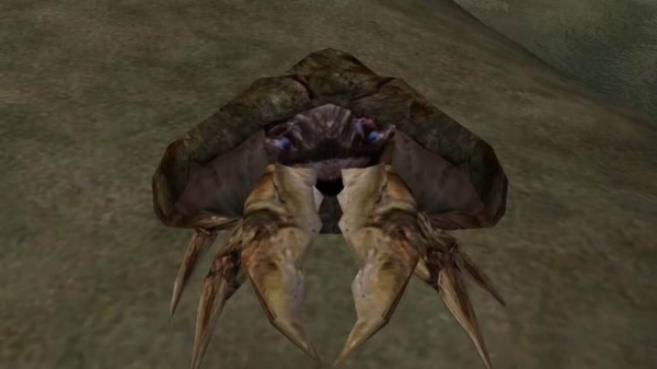 Тайны и пасхалки Тамриэля: Самые запоминающиеся легенды The Elder Scrolls
